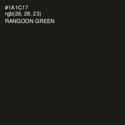 #1A1C17 - Rangoon Green Color Image